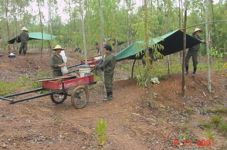 are there still landmines in vietnam?