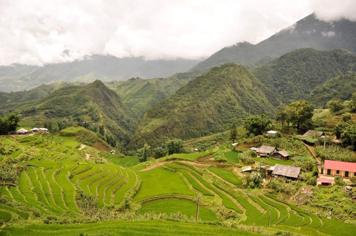 Terraced Rice Fields – Sapa