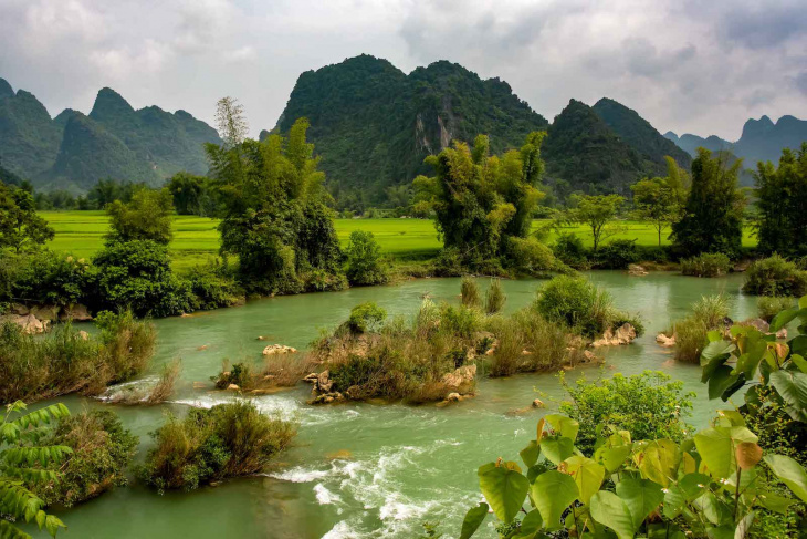 what are some of the natural resources in vietnam?