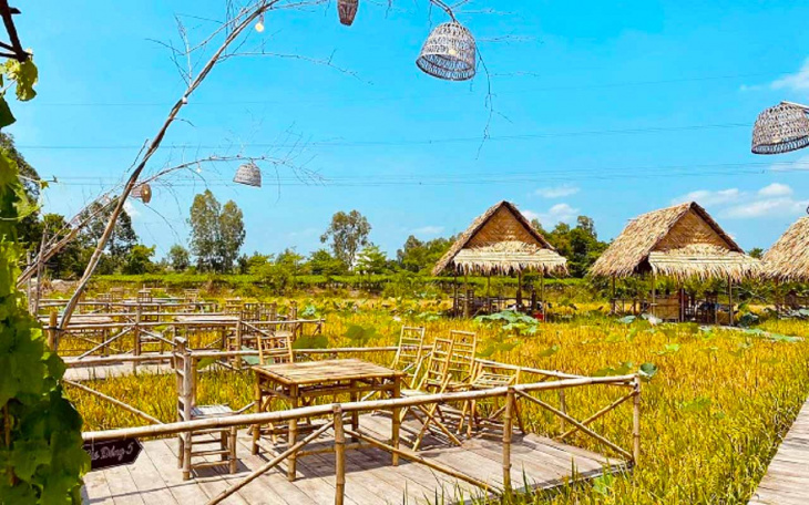 khu du lịch sinh thái mỹ phước thành – lạc lối ở đồng sen mê hồn (2022)