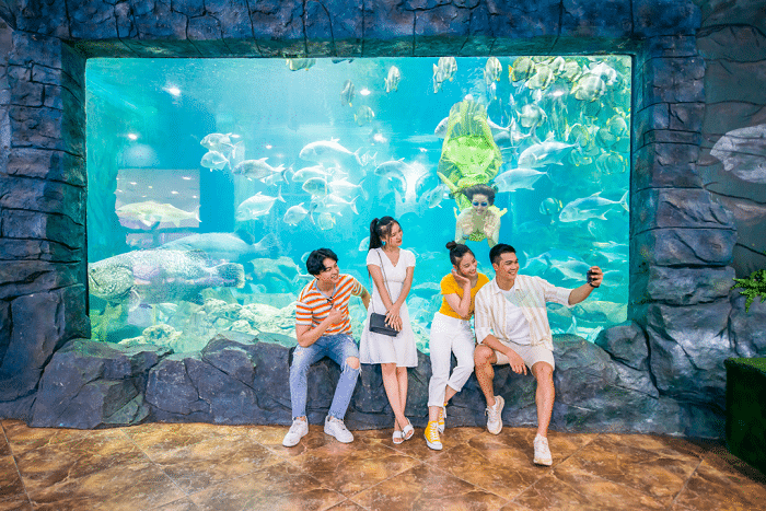 VinKE & Vinpearl Aquarium Times City – Hanoi