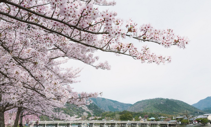 Khám phá những địa điểm hot nhất ở khu Arashiyama, Kyoto
