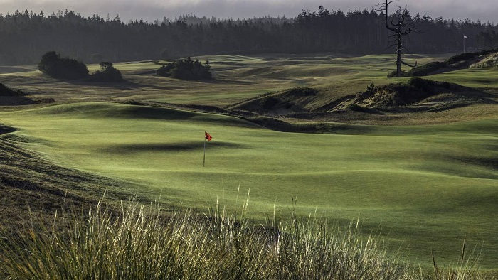 Tốc độ green, thông số quan trọng giúp golfer chinh phục sân golf