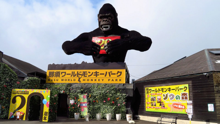 Một chú khỉ đáng yêu trên vai! Tìm hiểu nét quyến rũ của Nasu World Monkey Park
