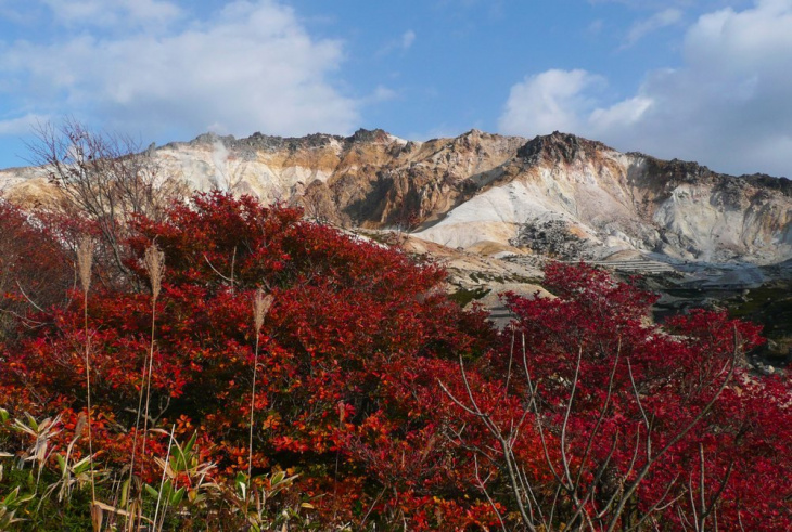 lá đỏ mùa thu trải dài khắp hokkaido - từ hakodate đến onuma
