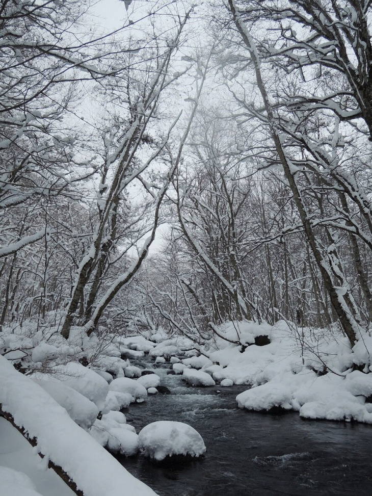 Tận hưởng mùa đông ở Aomori