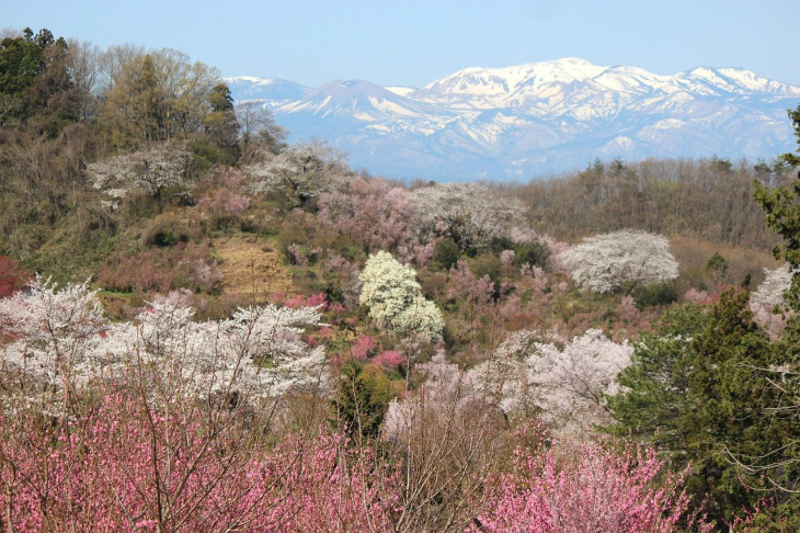 du lịch fukushima: ghé thăm vùng đất trứ danh về suối nước nóng của nhật bản