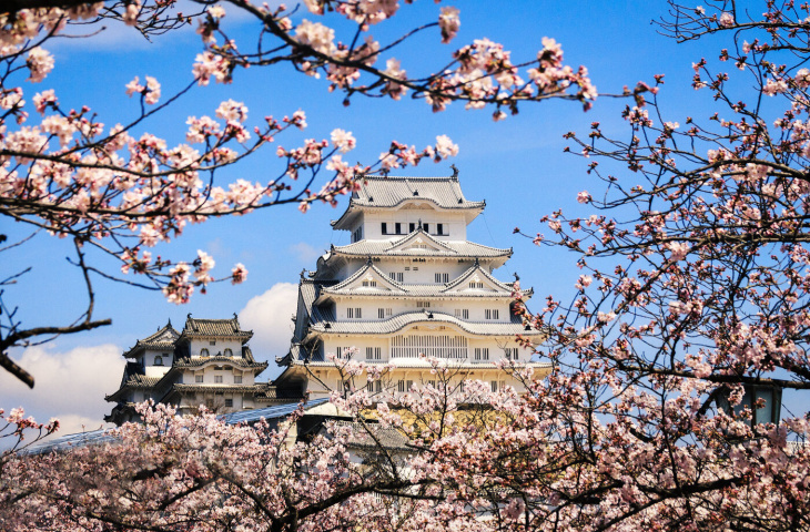 10 địa điểm lý tưởng ngắm hoa anh đào ở Kobe
