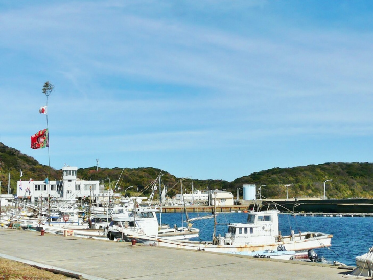 hành trình khám phá đảo mèo ainoshima trong 1 ngày