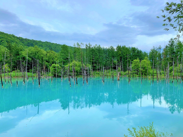 Đến với hồ xanh ở Hokkaido  - Gợi ý thời điểm tốt nhất để có những bức ảnh đẹp