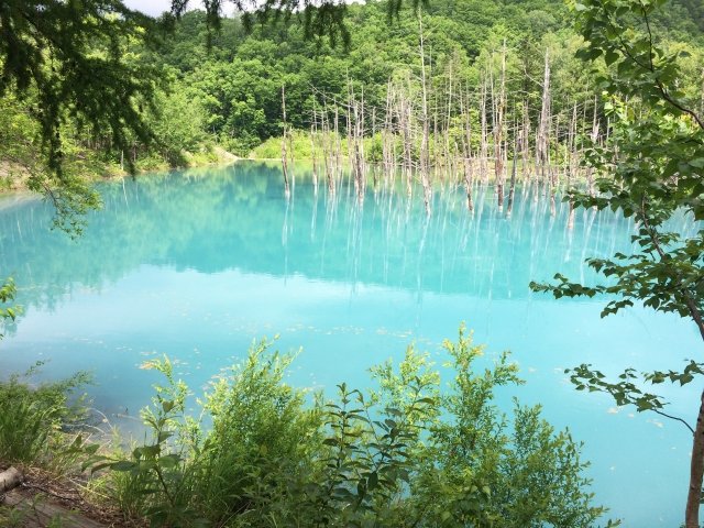 đến với hồ xanh ở hokkaido  - gợi ý thời điểm tốt nhất để có những bức ảnh đẹp