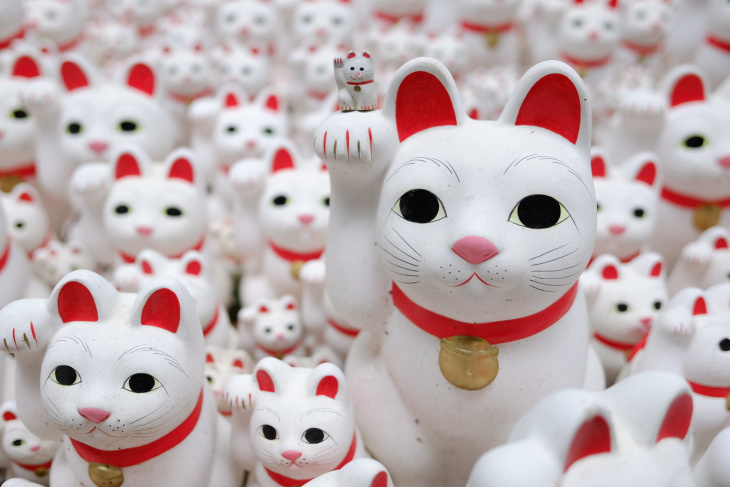 「Maneki-neko」 chú mèo may mắn của Nhật Bản
