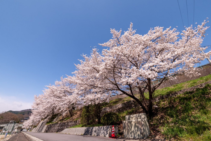 Gợi ý hành trình du lịch Nagano từ 2 - 4 ngày theo từng chủ đề