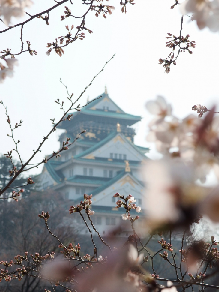 mùa xuân sang có hoa anh đào! 24 địa điểm hanami lý tưởng nhất tại vùng kansai