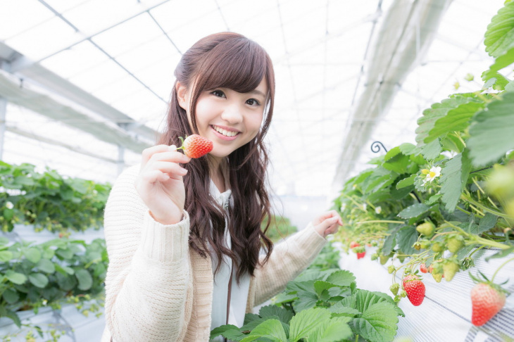 Ăn dâu tây “ngập miệng” ở Nhật Bản! Giới thiệu các vườn dâu tây nổi tiếng quanh Tokyo