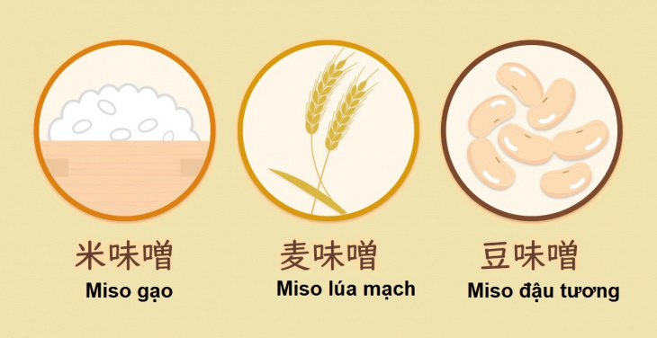 khám phá miso - một nét không thể thiếu trong ẩm thực nhật bản