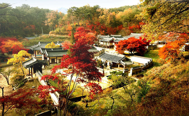 mùa thu hokkaido – vẻ đẹp lãng mạn của những bức tranh hoa