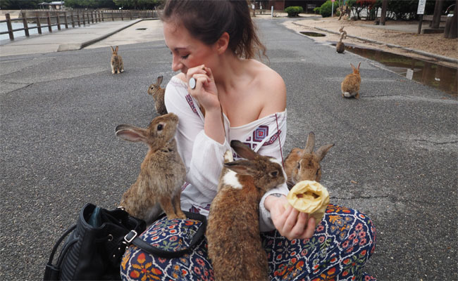 du lịch và khám phá vương quốc thỏ – okunoshima siêu dễ thương