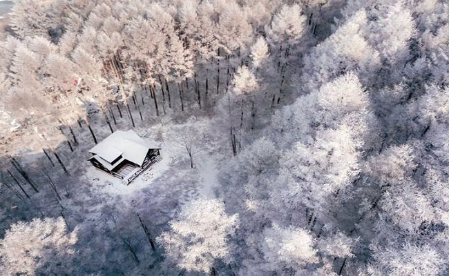 Mùa đông Nhật Bản “đốn tim” khách du lịch với thiên đường tuyết trắng