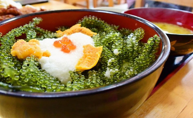 ẩm thực okinawa – những đặc sản nên thử một lần khi đến nhật bản