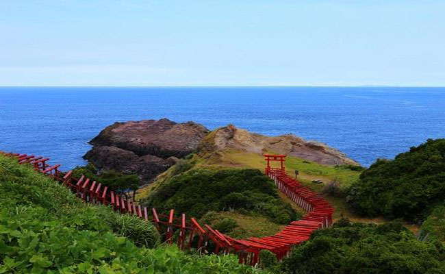 thưởng ngoạn vẻ đẹp linh thiêng của miếu thờ nghìn cổng fushimi inari