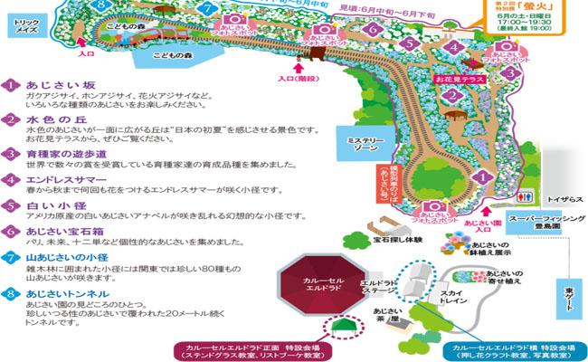 Khám phá lễ hội hoa cẩm tú cầu rực rỡ tại công viên Toshimaen