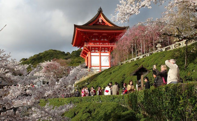 Trong số 2.000 ngôi đền chùa nên trải nghiệm điểm du lịch nào ở Kyoto?
