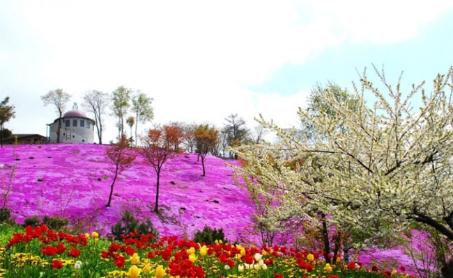 “Lạc lối” giữa thiên đường kỳ thú Monbetsu, 1 điểm du lịch mới ở Nhật