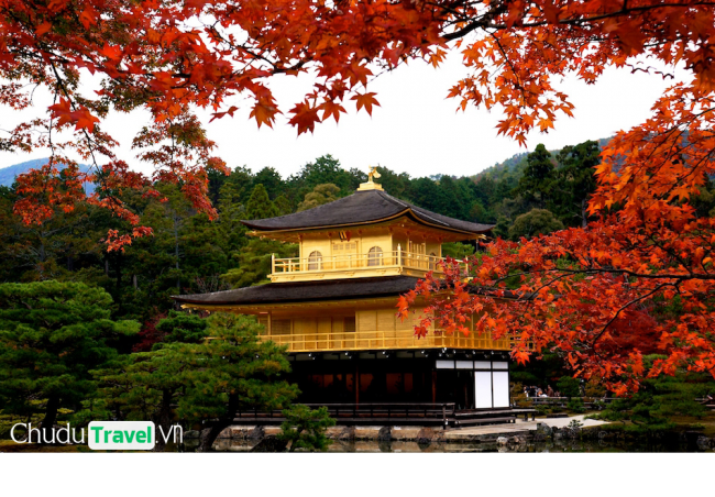 Khám phá mùa thu tại Nhật Bản – mùa lá đỏ và mùa lễ hội
