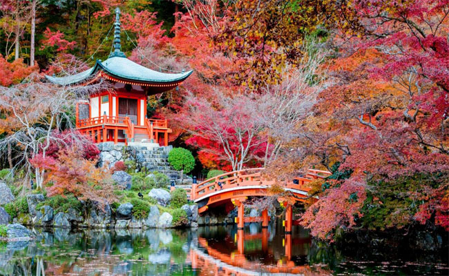 Mùa thu Nhật Bản – điểm giao mùa của những trái tim mơ mộng