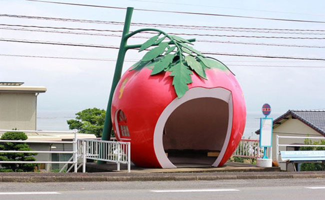 trạm chờ xe bus “vườn trái cây” độc nhất vô nhị chỉ có tại nhật bản