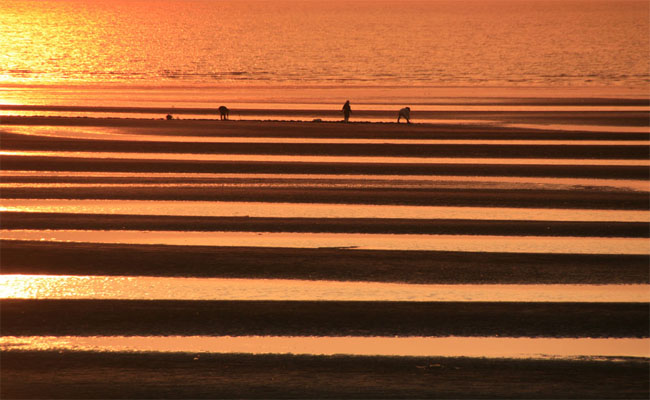 chiêm ngưỡng okoshiki – một trong các bờ biển đẹp nhất nhật bản