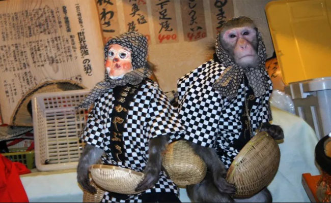 kayabukiya thu hút thực khách với nhân viên phục vụ khỉ
