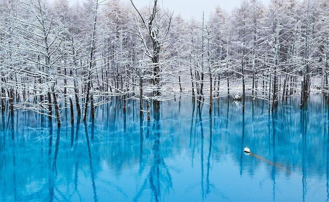 Những địa điểm hấp dẫn nhất mùa đông Nhật Bản nhất định phải khám phá