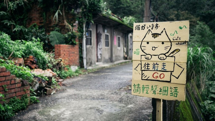ngôi làng dành cho người yêu mèo ở đài loan