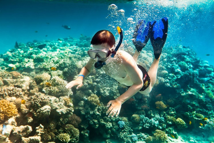 khám phá các môn thể thao dưới nước ở pattaya