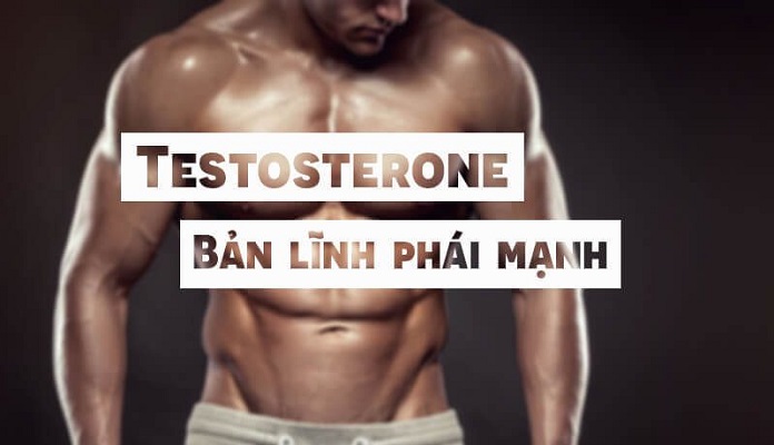 testosterone là gì? điều cần biết về loại hormone cho phái mạnh ra sao?