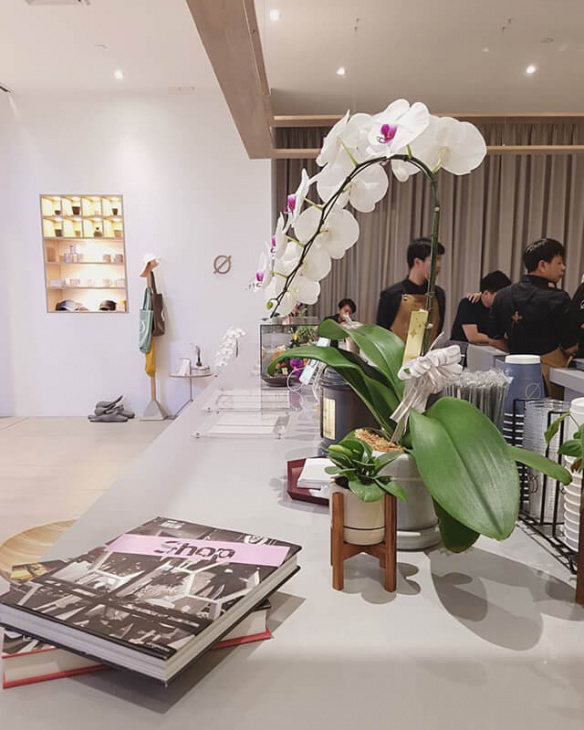 khám phá 3 tiệm cà phê mới toanh tại bangkok trong tour thái lan