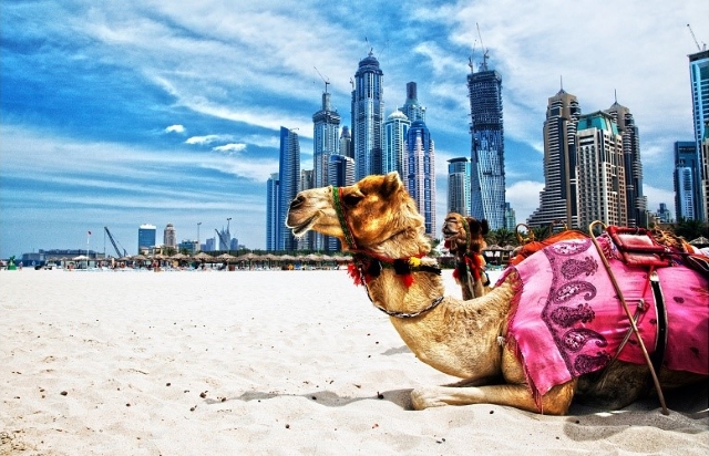 Vì sao Dubai nổi tiếng là một đất nước giàu có?