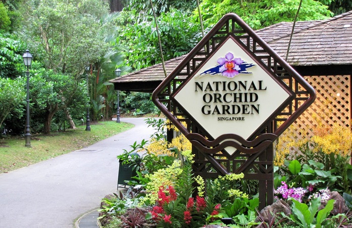 Botanic Gardens – Khu vườn thực vật lớn nhất tại Singapore !