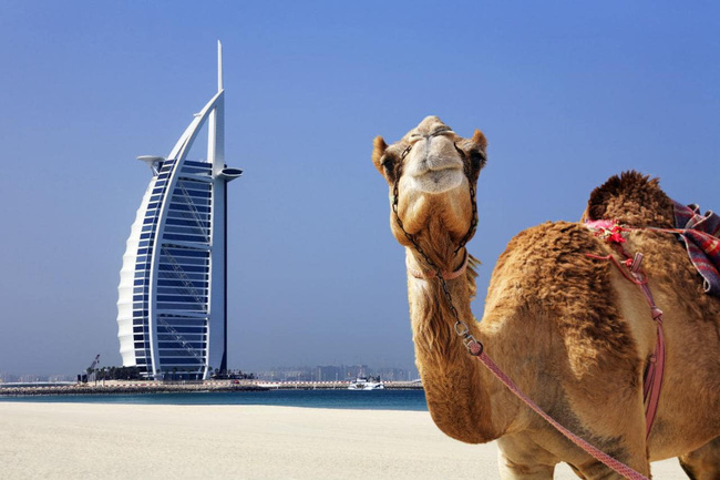 đi Dubai – Săn Trai đẹp Chuyện đùa Hay Thật ?