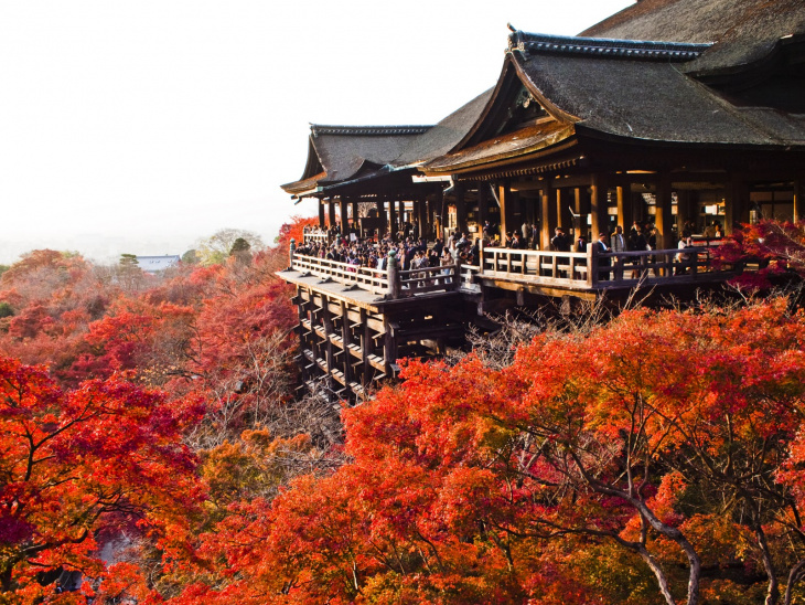 Vẻ đẹp đặc biệt có một không hai ở chùa Thanh Thủy Nhật Bản