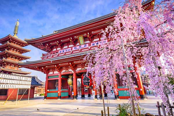 những địa điểm ngắm hoa anh đào đẹp nhất thành phố kyoto nhật bản