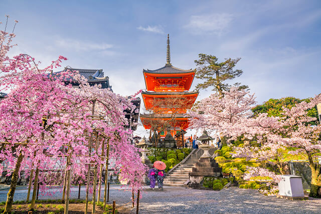 Những lý do bạn nên đi du lịch Nhật Bản vào mùa hoa anh đào?