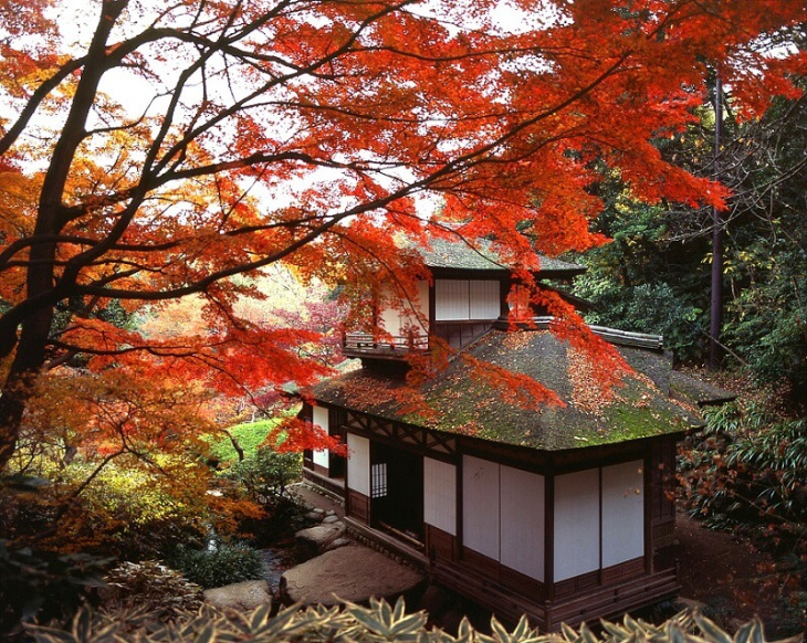 Đi du lịch Nhật Bản tháng 10 được trải nghiệm những gì?