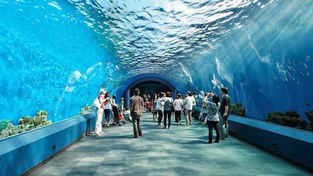 Cuộc phiêu lưu kỳ thú đến với Underwater World Pattaya, Thái Lan