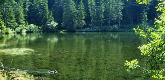 hồ xanh – địa điểm “sống ảo” đẹp đến mê người ở đà nẵng