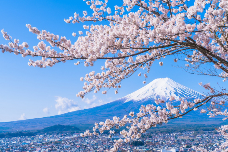 Những địa điểm để “sống ảo” Nhất định Phải Ghé Thăm Khi đến Nhật Bản