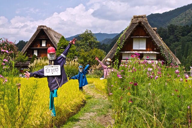 kể chuyện làng cổ shirakawago trong tour du lịch nhật bản