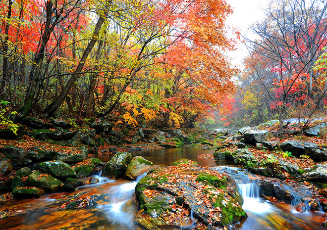 Ngắm cảnh những ngọn núi đẹp nhất mùa thu lá vàng Hàn Quốc
